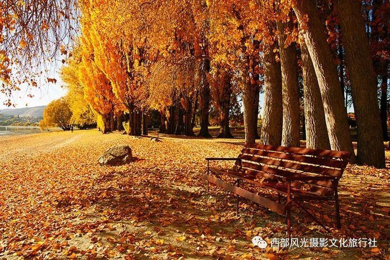 经典界面2048