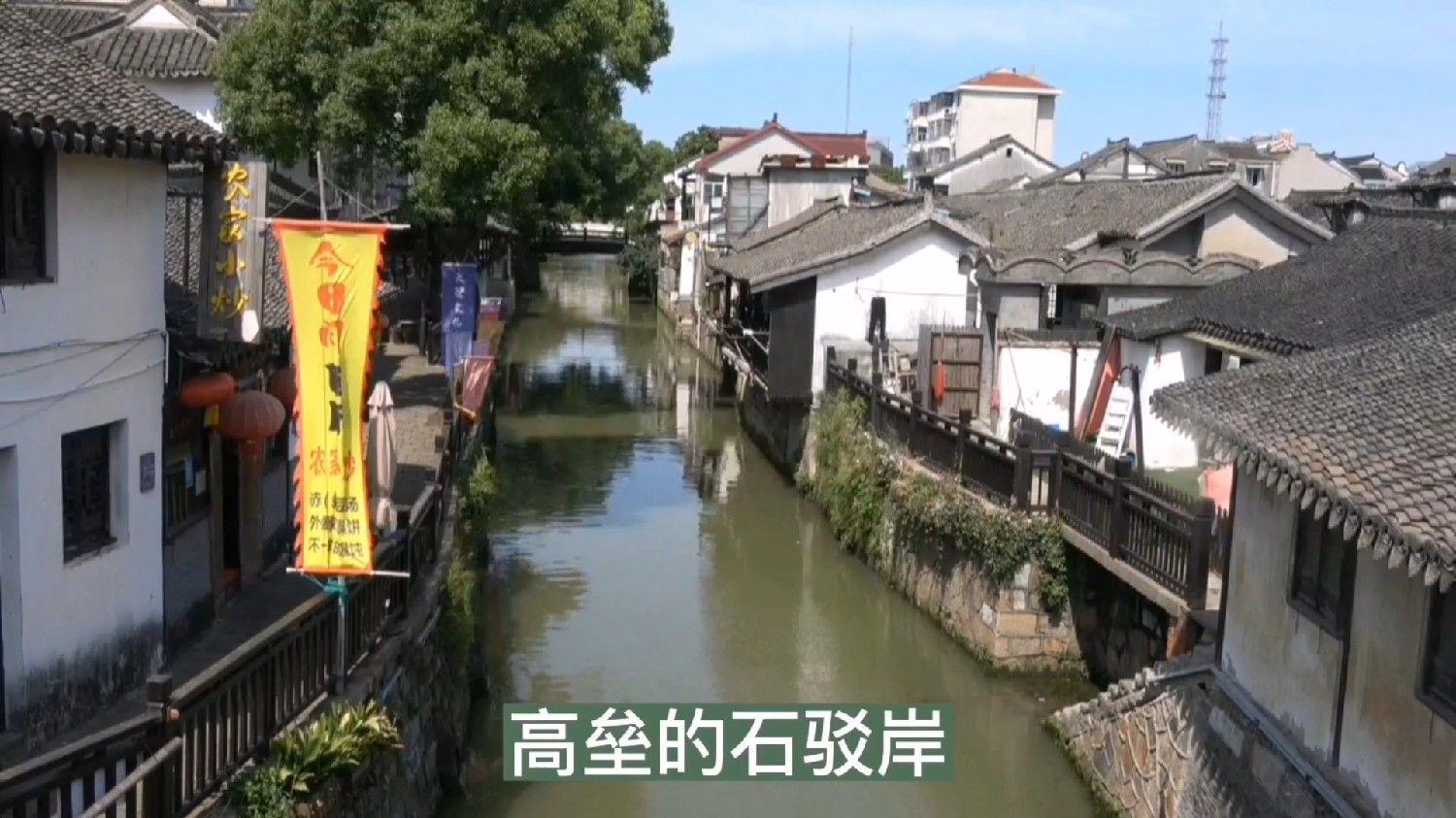 逃离幽灵之林